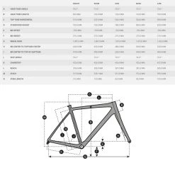 SCOTT CONTESSA SPEEDSTER GRAVEL 35 - Gravel Bike - 2023 5 SCOTT CONTESSA SPEEDSTER GRAVEL 35 - Gravel Bike - 2023 -E-Bike World Shop contessa speedster geo 1080156