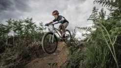 Early Rider Seeker 24 - 24" Kid´s Bike - 2023 13 Early Rider Seeker 24 - 24" Kid´s Bike - 2023 -E-Bike World Shop seeker24 4 1495234