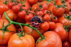 Unleazhed Unloose Al01 Ahead Cap - Red -E-Bike World Shop unleazhed al01 red c 1020552